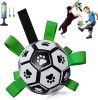 Interactive Dog Football Toy