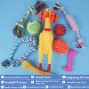 10-piece set of dog toys