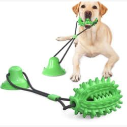 Pet Dog Toys with Suction Cup