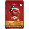 Purina One Dry Dog Food for Adult Dogs Chicken & Rice Formula