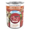 Purina One +Plus Lamb and Brown Rice Wet Dog Food