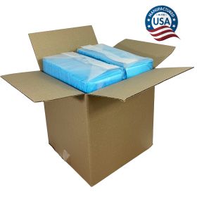 22" x 22"  100 Pcs Premium Disposable Training Pads