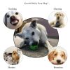 Dog Toy Interactive Rubber Balls