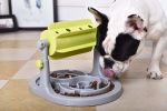 Pet Life 'Roto Paw'  Slow Dog Feeder