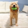 Food Dispenser Puppy Chewing Training Toy