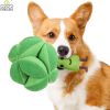 Snuffle Broccoli Dog Puzzle Toys