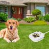 Outdoor Dog Pet Water Dispenser Step-on Activated Sprinkler