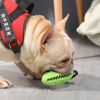 Food Dispenser Puppy Chewing Training Toy