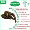 Mountain Goat Horn-100% Natural Dog Treat ;  Grain-Free