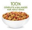 Purina Beneful Healthy Weight Dry Dog Food