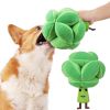 Snuffle Broccoli Dog Puzzle Toys