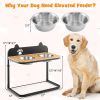 Dog Bowl Stand, 2 Stainless Steel Food/ Water Bowls