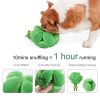 Snuffle Broccoli Dog Puzzle Toys