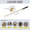 Plated Golden Dogs Leash with Collar Suit