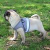 Pet Universal Harness with Leash Set Escape Proof