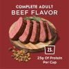 Purina Dog Chow Beef Flavor Dry Dog Food