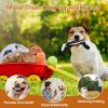 5Pcs Multi-Color Squeaky No Stuffing Dog Toys