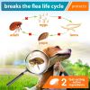 4 Flea and Tick Prevention for Dogs & Puppies