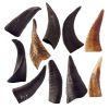 Mountain Goat Horn-100% Natural Dog Treat ;  Grain-Free