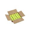 Dog Tennis Balls 20 Pack Pet Tennis Ball for Small Dogs