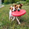 Dog Frisbee Toy;  Outdoor Floating Flying Disk