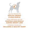 Purina ONE Plus Healthy Weight Dog Food