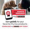 Purina Busy With Beggin Real Bacon chews