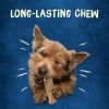 Purina Busy Long Lasting Chews for Dogs