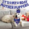 Dog Birthday Bandana Hat Set