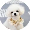 Bling Bling Retro Lace Collars Dog Neckerchief 8.2-11.2"