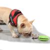 Food Dispenser Puppy Chewing Training Toy