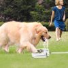 Outdoor Dog Pet Water Dispenser Step-on Activated Sprinkler