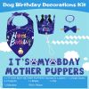 Dog Birthday Bandana Hat Set