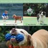 Interactive Dog Football Toy