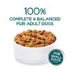 Purina Beneful Incredibites for Small Dogs Dry Dog Food