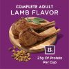 Purina Dog Chow High Protein Real Lamb Flavor Dry Food