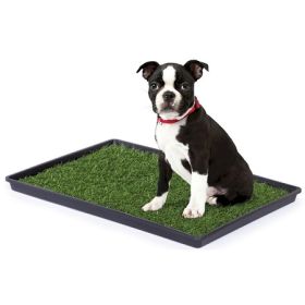 Tinkle Turf (Option: Small)