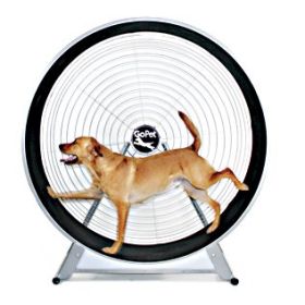 GoPet TreadWheel (Option: Large Dogs)