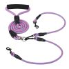 Double Dogs Leash No-Tangle