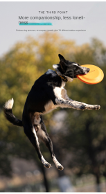 Bite-resistant Frisbee toy EVA floating (Color: Blue Large (235mm), size: 20cm without zipper)