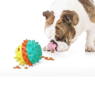 Pet Chew Toy for Aggressive Chewers (Color: Green)