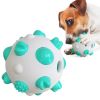 Pet Dog Toy Interactive Chew  Rubber Ball