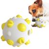 Pet Dog Toy Interactive Chew  Rubber Ball