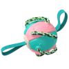 Dog Foldable  Soccer Ball