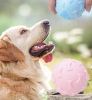 Dog toys round ball interactive bone ball