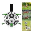 Dog Toys  Football Toys