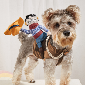 Cowboy Rider Pet Costume, For Small Medium Dogs (Color: Mixed Color, size: M)