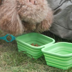 Silicone Collapsible Pet Bowl (Color: Green)