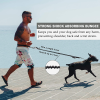 Hands Free Dog Leash for Medium and Large Dogs