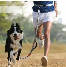 Hands Free Dog Leash for Medium and Large Dogs (Specification (L * W): 2.5*160cm, colour: blue-4211)